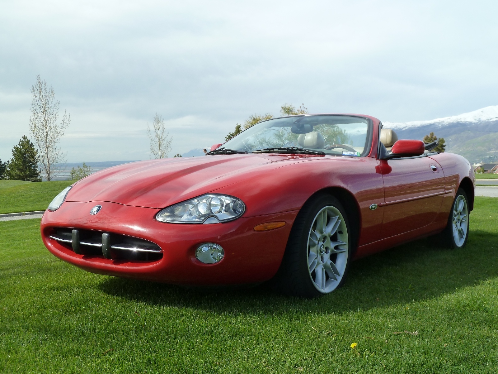 Jag XK8a NSL